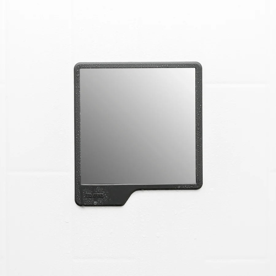 The Shower Mirror